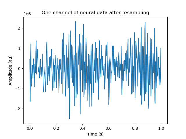 One channel of neural data after resampling